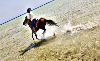 Reiten durch die Wüste & am strand